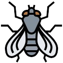 Flies