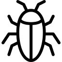 Roaches